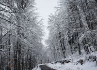 Πορτοκαλί προειδοποίηση ΕΜΥ: Από τα 30άρια και τις παραλίες, στα χιόνια και τους παγερούς βοριάδες