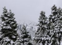 Κακοκαιρία Coral: Tσικνοπέμπτη με τσουχτερό κρύο – Πού θα χιονίσει Κακοκαιρία Coral: Tσικνοπέμπτη με τσουχτερό κρύο – Πού θα χιονίσει