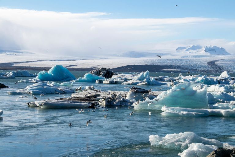 COP16: Περισσότερες από τις μισές χώρες αδιαφορούν για τις δεσμεύσεις για το περιβάλλον