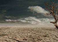 Κλίμα: Ο στόχος να περιοριστεί η υπερθέρμανση του πλανήτη κάτω από τους 2° Κελσίου «είναι νεκρός» Κλίμα: Ο στόχος να περιοριστεί η υπερθέρμανση του πλανήτη κάτω από τους 2° Κελσίου «είναι νεκρός»