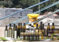 Το ελληνικό ελαιόλαδο που «παίρνει μέρος» σε έρευνα για τον καρκίνο του παχέος εντέρου