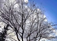 Καιρός: «Παγωμένο» Σαββατοκύριακο σε όλη τη χώρα