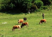 Ο Μάιος 2025 φέρνει ειδικό bonus έως 2.000 ευρώ – Ποιοι είναι οι δικαιούχοι
