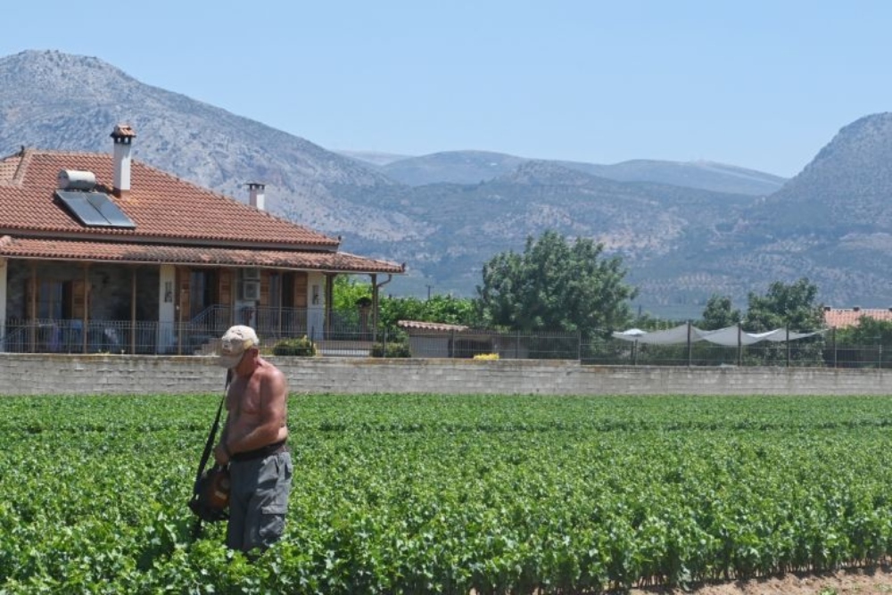 ΟΠΕΚΕΠΕ: Πληρωμές 260 εκατ. ευρώ σε δύο φάσεις – Ποιοι είναι οι δικαιούχοι