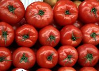 Ντομάτες από χρυσάφι: Οι ΗΠΑ αναγγέλλουν δασμούς 21% στις εισαγωγές από Μεξικό Ντομάτες από χρυσάφι: Οι ΗΠΑ αναγγέλλουν δασμούς 21% στις εισαγωγές από Μεξικό