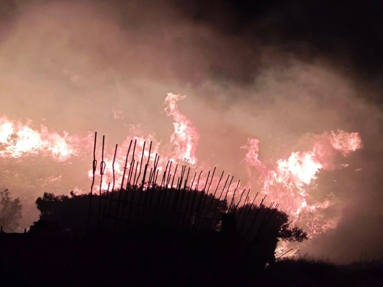 Φωτιά στην Κερατέα – Μεγάλη κινητοποίηση της Πυροσβεστικής [vid]
