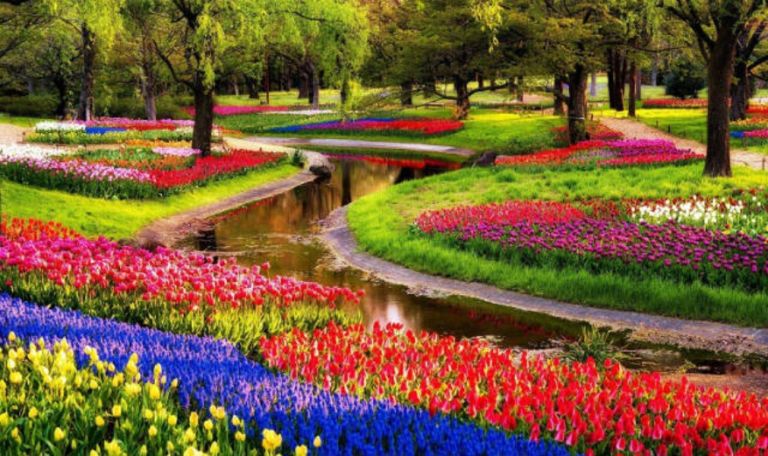 Ολλανδία: Ο δημοφιλής κήπος Keukenhof δημιούργησε ειδικούς χώρους για «selfie με τουλίπες»