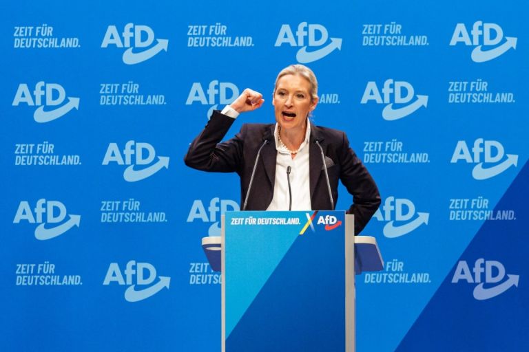 Γερμανία: «Παράθυρο» για την απαγόρευση της AfD