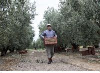 Αγροτικές επιδοτήσεις: Τι πρέπει να γνωρίζουν οι δικαιούχοι για τις πληρωμές στα Σχέδια Βελτίωσης Αγροτικές επιδοτήσεις: Τι πρέπει να γνωρίζουν οι δικαιούχοι για τις πληρωμές στα Σχέδια Βελτίωσης