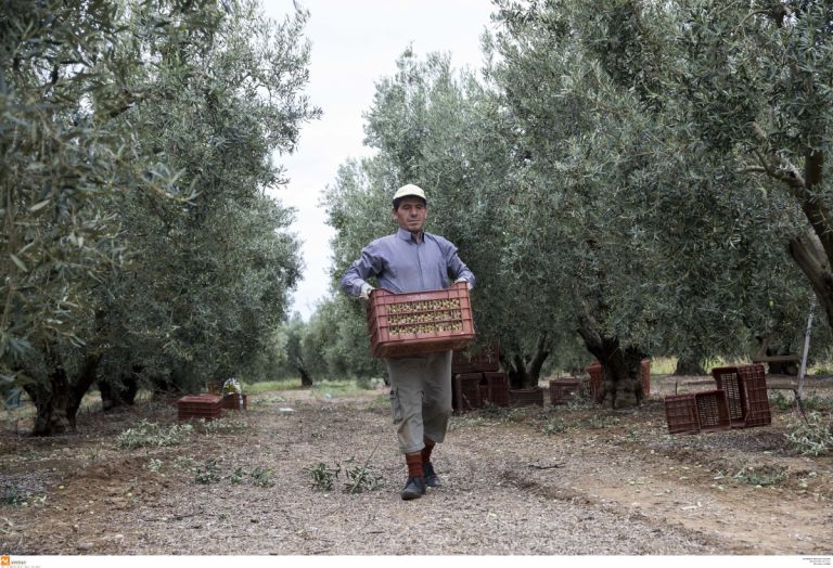 Στον “αέρα” το σύστημα των αγροτικών επιδοτήσεων