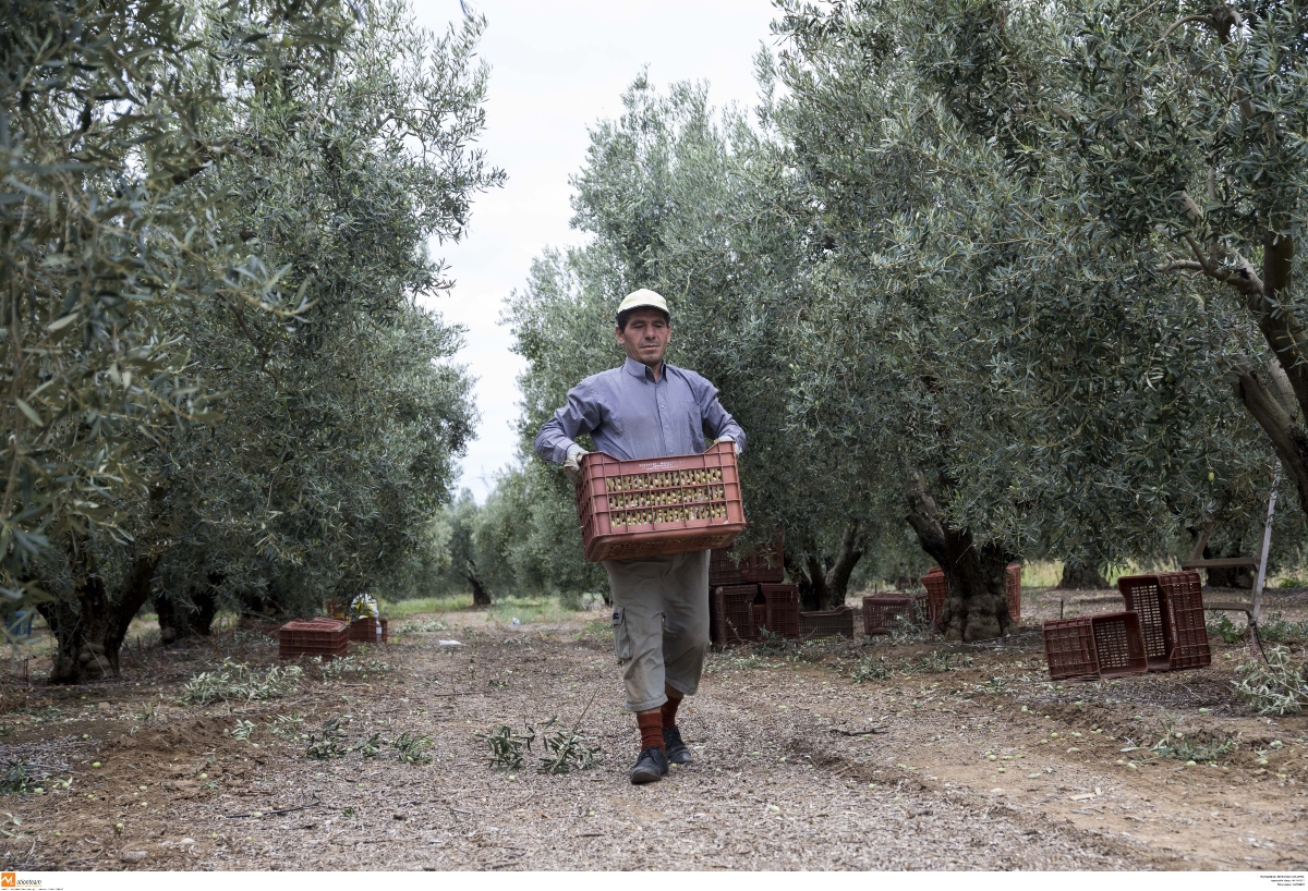 Στον “αέρα” το σύστημα των αγροτικών επιδοτήσεων