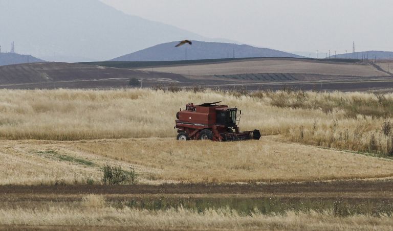 Σε χαμηλό 9μήνου το σιτάρι εν αναμονή της συγκομιδής στο βόρειο ημισφαίριο
