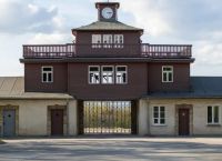 Έρευνα: Πολλοί Γερμανοί δεν θέλουν να θυμούνται τους Ναζί Έρευνα: Πολλοί Γερμανοί δεν θέλουν να θυμούνται τους Ναζί