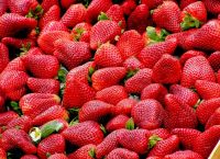 Φράουλες και ορμόνες: Το κόκκινο superfood που φροντίζει το γυναικείο σώμα Φράουλες και ορμόνες: Το κόκκινο superfood που φροντίζει το γυναικείο σώμα