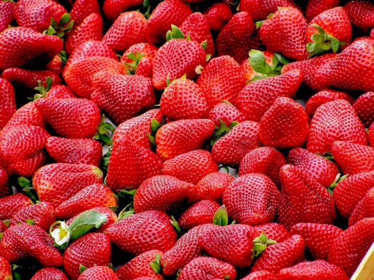 Φράουλες και ορμόνες: Το κόκκινο superfood που φροντίζει το γυναικείο σώμα