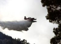 Παλαιά Φώκαια: Kαίγονται σπίτια από τη μεγάλη πυρκαγιά – Εκκενώθηκαν οικισμοί, μηνύματα 112 Παλαιά Φώκαια: Kαίγονται σπίτια από τη μεγάλη πυρκαγιά – Εκκενώθηκαν οικισμοί, μηνύματα 112