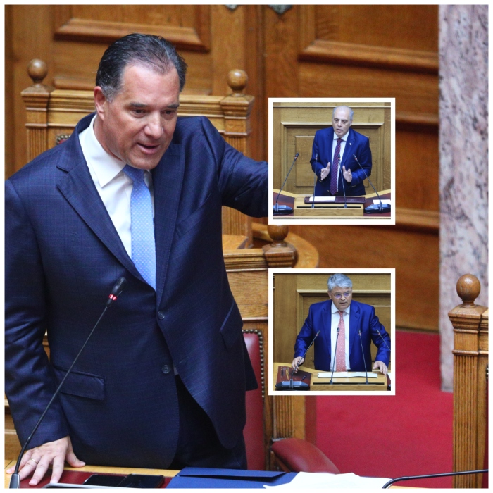 Άδωνις Γεωργιάδης: Βελόπουλος και Νατσιός σε γραμμή ΣΥΡΙΖΑ για τα ιδιωτικά Πανεπιστήμια