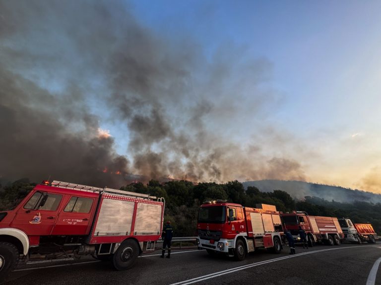 Ναύπακτος: Βίντεο-ντοκουμέντο δείχνει τη στιγμή που ξεκίνησε η μεγάλη φωτιά