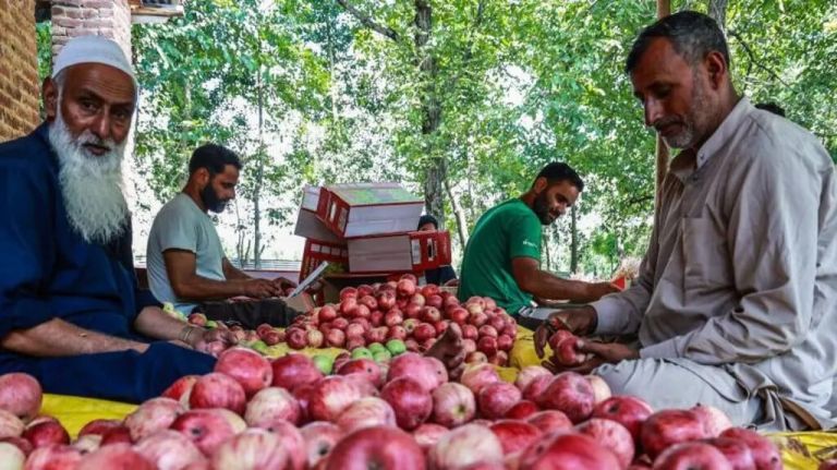 Ινδοί επιστήμονες στο «κυνήγι» της αναζήτησης για το τέλειο μήλο