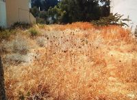 Ακαθάριστα οικόπεδα: Τι πρέπει να προσέξετε – Στην αρμοδιότητα της Πυροσβεστικής οι έλεγχοι Ακαθάριστα οικόπεδα: Τι πρέπει να προσέξετε – Στην αρμοδιότητα της Πυροσβεστικής οι έλεγχοι