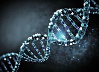 Τεχνητό ανθρώπινο DNA από το μηδέν δημιουργούν επιστήμονες στο Κέμπριτζ Τεχνητό ανθρώπινο DNA από το μηδέν δημιουργούν επιστήμονες στο Κέμπριτζ