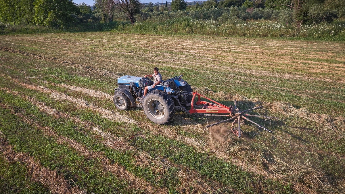 Όμιλος Σαρακάκη: Συνεργασία με την Πειραιώς για αγροτικές επενδύσεις