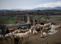 Το σκάνδαλο του ΟΠΕΚΕΠΕ στο στόχαστρο της Ευρωβουλής Το σκάνδαλο του ΟΠΕΚΕΠΕ στο στόχαστρο της Ευρωβουλής