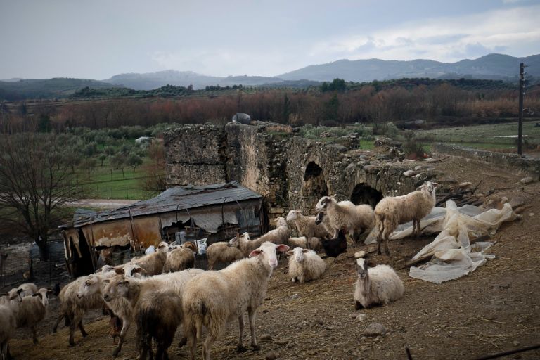 Το σκάνδαλο του ΟΠΕΚΕΠΕ στο στόχαστρο της Ευρωβουλής