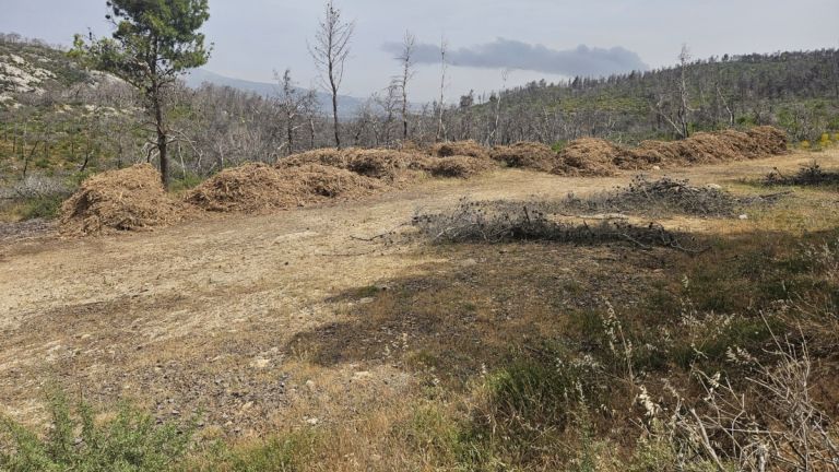 Συνεχίζονται οι έλεγχοι για τα ακαθάριστα οικόπεδα