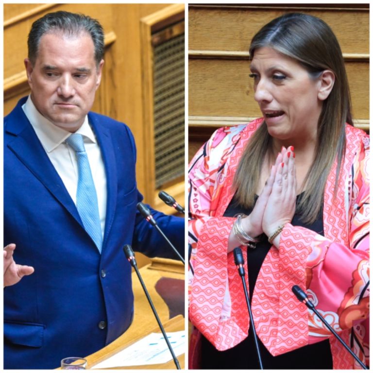 Άδωνις Γεωργιάδης σε Κωνσταντοπούλου: Ιδέα δεν έχετε για το πώς λειτουργεί το ΕΣΥ!
