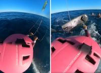 Τουρίστας και η 10χρονη κόρη του σώθηκαν χάρη στην επέμβαση δύο αθλητών ιστιοπλοΐας στην Επανομή [vid]