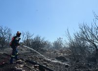 Πολυτεχνειούπολη: Από αδήλωτα μελίσσια ξεκίνησε η φωτιά – Πρόστιμο και στον πρύτανη του ΕΚΠΑ Πολυτεχνειούπολη: Από αδήλωτα μελίσσια ξεκίνησε η φωτιά – Πρόστιμο και στον πρύτανη του ΕΚΠΑ