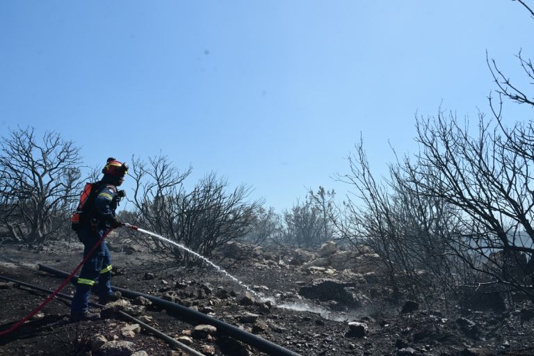 Πολυτεχνειούπολη: Από αδήλωτα μελίσσια ξεκίνησε η φωτιά – Πρόστιμο και στον πρύτανη του ΕΚΠΑ