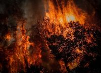 Σε ύφεση η φωτιά στη Ραφήνα: Κάηκαν σπίτια, εκκενώθηκαν οικισμοί – Σε ολονύχτια επιφυλακή η Πυροσβεστική Σε ύφεση η φωτιά στη Ραφήνα: Κάηκαν σπίτια, εκκενώθηκαν οικισμοί – Σε ολονύχτια επιφυλακή η Πυροσβεστική