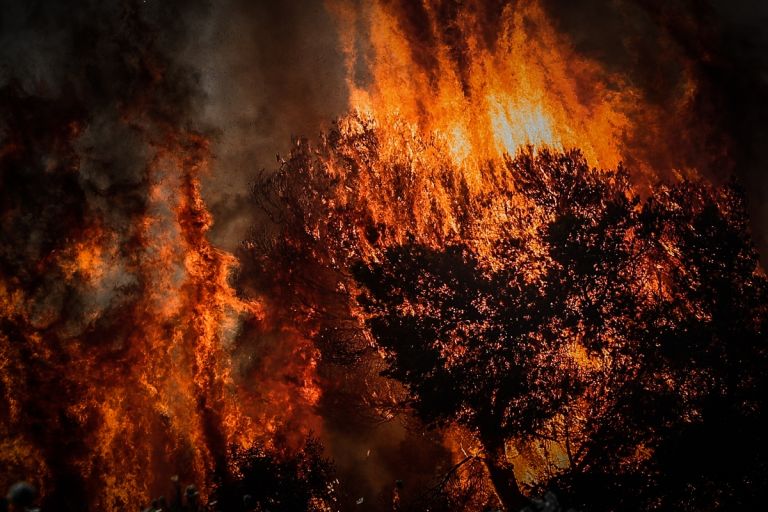 Σε ύφεση η φωτιά στη Ραφήνα: Κάηκαν σπίτια, εκκενώθηκαν οικισμοί – Σε ολονύχτια επιφυλακή η Πυροσβεστική