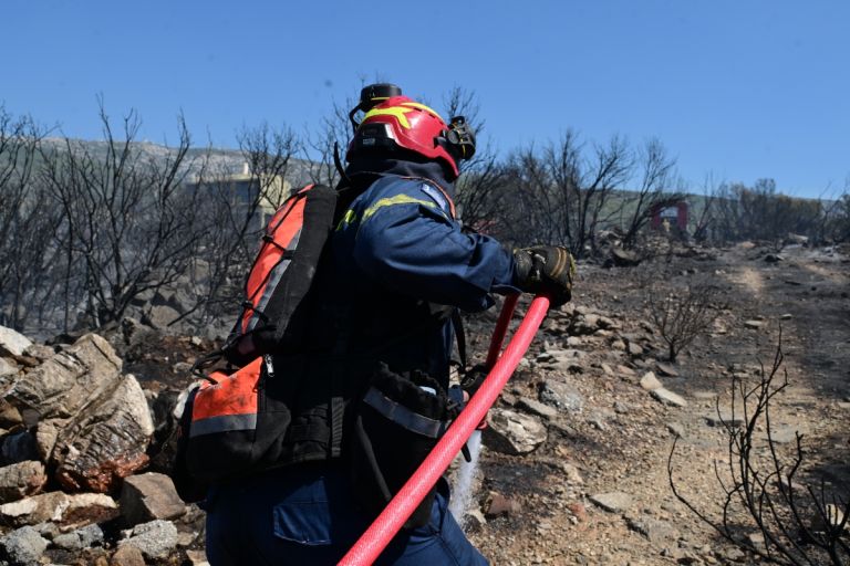 Wildfire Near Polytechnic University Under Control — Large Firefighting Force Deployed