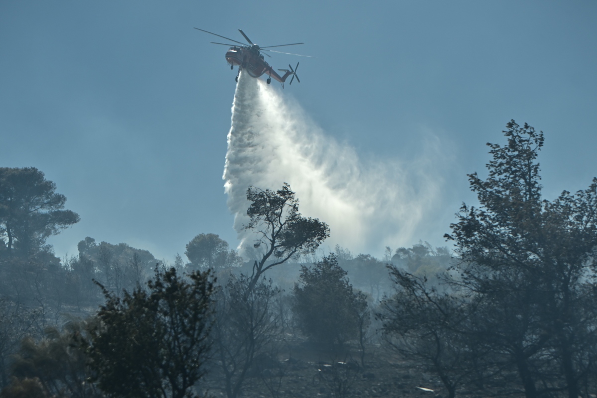 Φωτιά Εύβοια: Διάσπαρτες εστίες, φόβοι για αναζωπυρώσεις λόγω των ισχυρών ανέμων