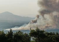 Φωτιά Ωρωπός: 1.000 στρέμματα δάσους έγιναν στάχτη – Σε ύφεση η φωτιά Φωτιά Ωρωπός: 1.000 στρέμματα δάσους έγιναν στάχτη – Σε ύφεση η φωτιά