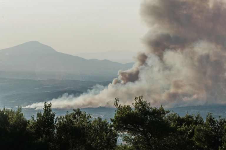 Φωτιά Ωρωπός: 1.000 στρέμματα δάσους έγιναν στάχτη – Σε ύφεση η φωτιά