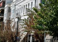 Athens Launches Large-Scale Tree Protection Program Against Invasive Pest