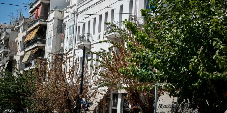 Athens Launches Large-Scale Tree Protection Program Against Invasive Pest