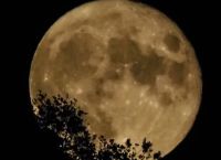 Πανσέληνος Ιουλίου [10/07/25]: Φέρνει κύμα αλλαγών και 3 Ζώδια θα δουν την ερωτική τους ζωή να αναστατώνεται