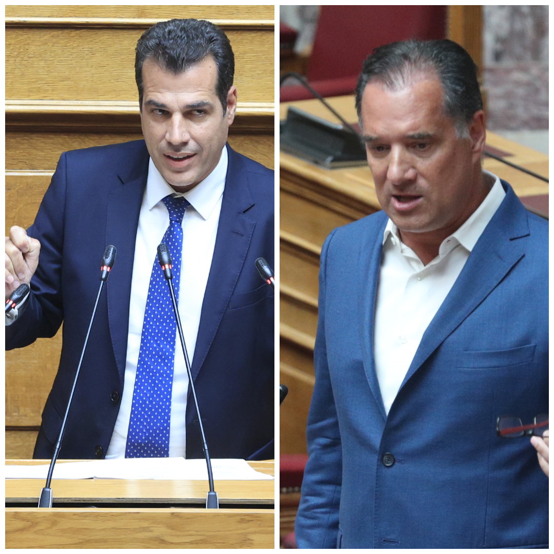 Γεωργιάδης: Ο Πλεύρης αλλάζει τα δεδομένα στο Μεταναστευτικό–Από μαλακός στόχος,ευρωπαϊκή ασπίδα η Ελλάδα