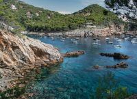 H Μεσόγειος Θάλασσα πλήττεται από πρωτοφανή καύσωνα – «Το φαινόμενο είναι πολύ ανησυχητικό» H Μεσόγειος Θάλασσα πλήττεται από πρωτοφανή καύσωνα – «Το φαινόμενο είναι πολύ ανησυχητικό»