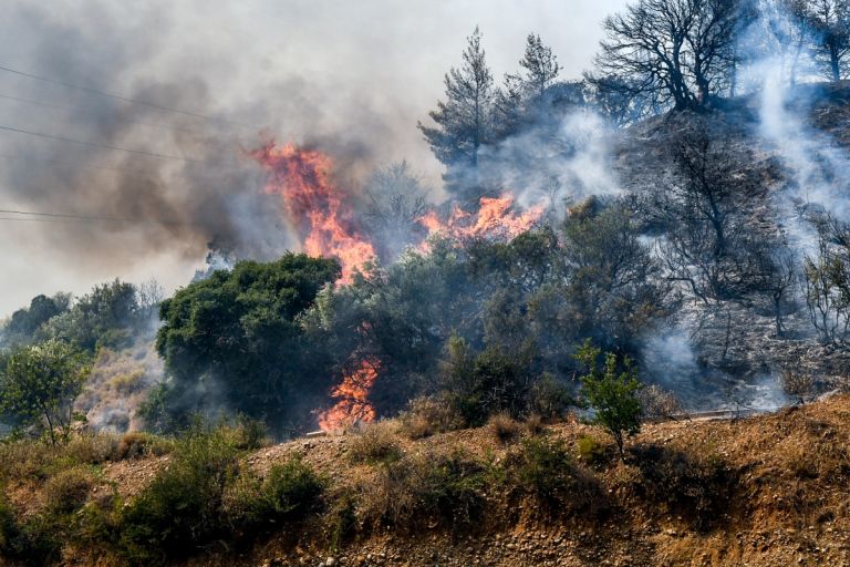 Meteo: Πάνω από 100.000 στρέμματα κάηκαν από τις φωτιές σε Χίο, Πρέβεζα, Ζάκυνθο και Κάτω Αχαΐα