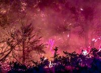 Φωτιά τώρα σε Κεφαλονιά, Βόνιτσα και Ζάκυνθο Φωτιά τώρα σε Κεφαλονιά, Βόνιτσα και Ζάκυνθο