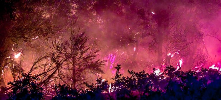 Φωτιά τώρα σε Κεφαλονιά, Βόνιτσα και Ζάκυνθο