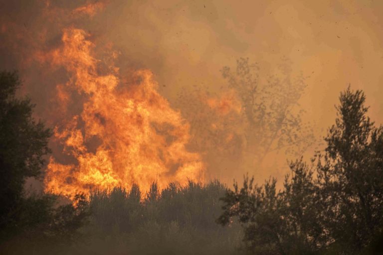 Ιστορικό ρεκόρ πυρκαγιών στην ΕΕ – Νέο αίτημα της Ελλάδας για ευρωπαϊκή βοήθεια