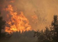 Κατεπείγουσα έρευνα για εμπρησμούς στην Ήπειρο με παρέμβαση του Εισαγγελέα Εφετών Ιωαννίνων Κατεπείγουσα έρευνα για εμπρησμούς στην Ήπειρο με παρέμβαση του Εισαγγελέα Εφετών Ιωαννίνων