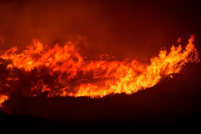 Ποια χώρα στην Ευρώπη επλήγη περισσότερο από τις πυρκαγιές του 2024;